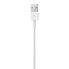 Apple MQUE2ZM - 1 m - Lightning - USB A - White - Straight - Straight