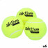 Фото #1 товара Теннисные мячи Aktive Pro 3 Предметы Жёлтый 6 штук