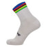 Фото #1 товара SANTINI UCI Official World Champion 2023 Socks