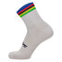 Фото #1 товара SANTINI UCI Official World Champion 2023 socks