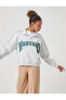 Oversize Sweatshirt Harvard Lisanslı Dik Yaka Fermuarlı