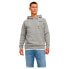 Фото #1 товара JACK & JONES Tons hoodie