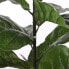 Фото #3 товара Kunstpflanze Ficus Lyrata