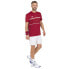 Футболка Tecnifibre Team Tech Tee Красный, XL - фото #3