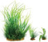Фото #1 товара Zolux Dekoracja roślinna PlantKit Wiha model 1 (352140)