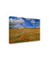 Фото #2 товара American School Poppies with Clouds Canvas Art - 15" x 20"