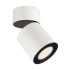 Фото #1 товара SLV Supros CL - Surfaced lighting spot - 1 bulb(s) - 36 W - 3380 lm - 220-240 V - White