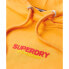 SUPERDRY Sportswear Logo Boxy hoodie