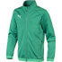 Фото #1 товара Puma Liga Training Jacket Junior 655688 05