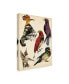 Фото #2 товара Melissa Wang Bird Collection II Canvas Art - 15" x 20"