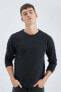 Фото #3 товара Regular Fit Sweatshirt Z9699az22au