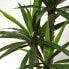 Фото #11 товара Искусственные цветы Homescapes Yucca Palme 150 см