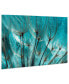 Фото #2 товара Dandelion Frameless Free Floating Tempered Art Glass Wall Art by EAD Art Coop, 32" x 48" x 0.2"