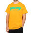 Фото #1 товара THRASHER Skatemag short sleeve T-shirt