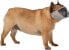Trixie Kaganiec dla psów ras krótkopyskich, poliester, S–M: 24 cm, szary