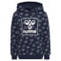 Фото #1 товара HUMMEL Almar hoodie