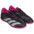 Adidas Predator Accuracy.4 IN M GW7072 shoes