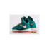 Nike Zoom Lebron X Dolphins Edition