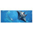 Glasbild Manta Ray