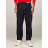 TOMMY HILFIGER Pleated Rgd chino pants