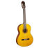 Фото #1 товара Yamaha CG122MS Classical Guitar, Matt e Natural