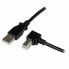 Универсальный кабель USB-MicroUSB Startech USBAB3MR Чёрный 3 m