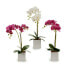 Фото #2 товара Декоративное растение Орхидея 18 x 47 x 14 cm Пластик (6 штук)