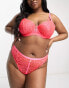 Simply Be neon animal print bra in pink