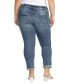 ფოტო #2 პროდუქტის Plus Size Girlfriend Mid Rise Slim Leg Jeans
