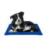 Фото #1 товара Коврик для собак Nayeco Синий охлаждающего геля (50 x 90 cm)