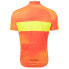 Фото #2 товара PEARL IZUMI Classic short sleeve jersey