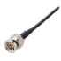 Фото #2 товара Blackmagic Design DIN1.0/2.3 - BNC male Cable