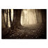 Фото #1 товара Leinwandbild Enchanted Forest