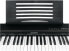 Фото #4 товара McGrey BS-88 Keyboard – Beginner's Keyboard in Stage Piano Look with 88 Keys – 146 Sounds – Split, Dual and Twinova Function – Including Sustain Pedal – Black