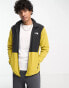 Фото #2 товара The North Face TKA Glacier zip up fleece in yellow and black