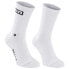 ION Logo socks