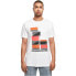 ფოტო #2 პროდუქტის MISTER TEE Sneaker Collector short sleeve T-shirt