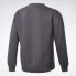 Фото #5 товара [FT7406] Mens Reebok Classics Premium Vector Crew Sweatshirt