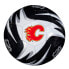 Фото #1 товара FRANKLIN NHL Senators Touch Ball