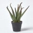 Фото #8 товара Искусственные цветы Homescapes Комнатное растение Aloe Vera 30 см