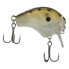 Фото #5 товара Shimano Ghost Shad MACBETH SHALLOW Crankbait (MB50SGS) Fishing