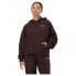NEW BALANCE Linear Heritage Brushed Back hoodie