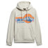 Фото #2 товара SUPERDRY Outdoor Graphic Stripe hoodie