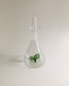 Vegetable borosilicate cruet Зеленый, 9 x 19.5 x 19.5 cm - фото #4