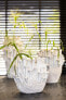 Фото #4 товара Аксессуары для цветов Light & Living Горшок для растений KYRAL