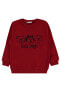 Фото #1 товара Erkek Çocuk Sweatshirt 2-5 Yaş Bordo