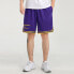 Фото #4 товара Баскетбольные шорты Nike NBA CV5514-504 для мужчин