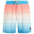Фото #3 товара PROTEST Manly Swimming Shorts