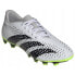 Adidas buty korki predator accuracy.4 fxg gz0013