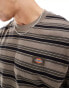 Dickies seasonal striped t-shirt in brown multi